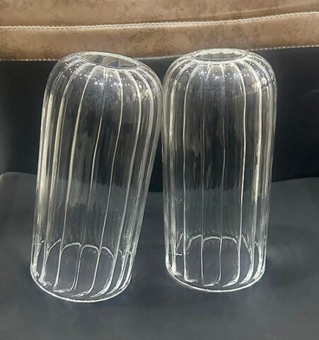 Glass Vase Flower Container/Bottle Plant Holder